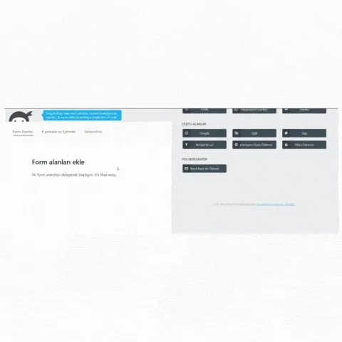 ninja forms sanal pos entegrasyonu
