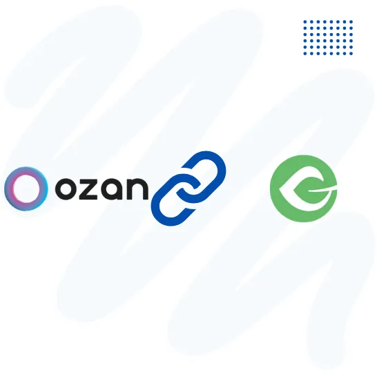 Ozan GiveWp Virtual POS Integration.png